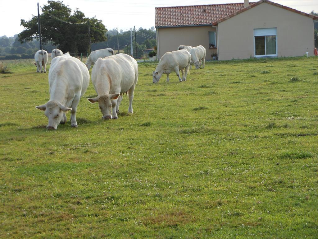 Chambre D'Hotes La Basse Gougeonniere Neuvy-en-Mauges Exterior foto